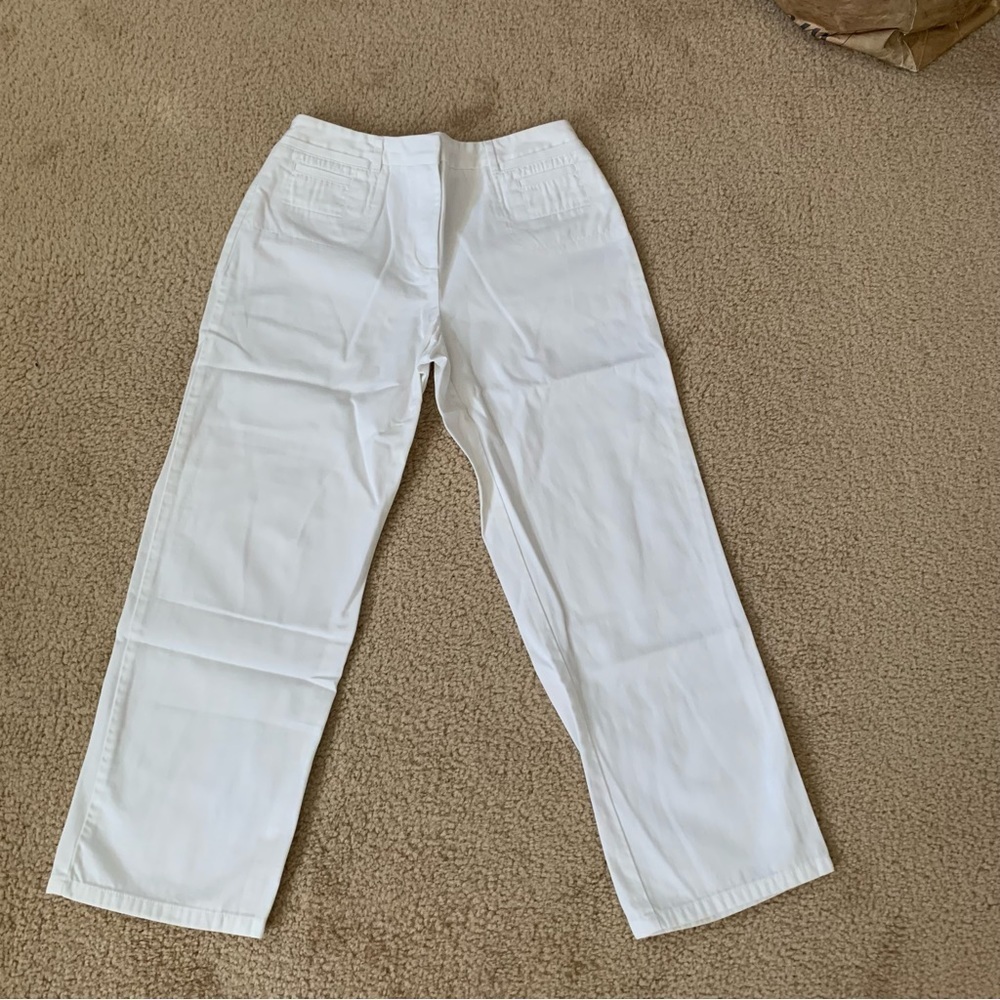 Ann Taylor Loft Capri Pants- 2